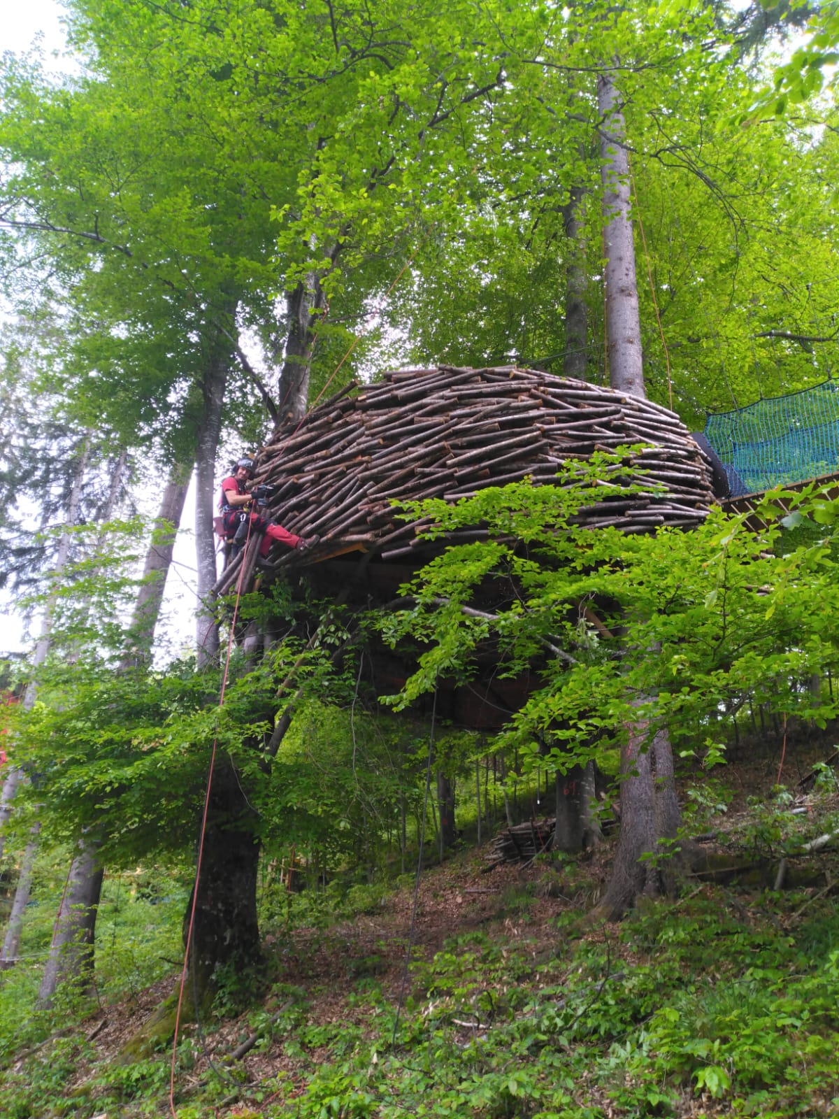 Cabane en forme de nid tressé dans les arbres