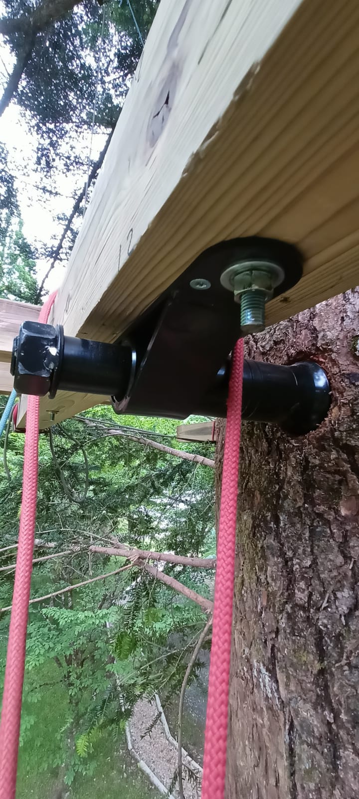 Fixation de la structure d’une cabane perchée sur le tronc de l’arbre
